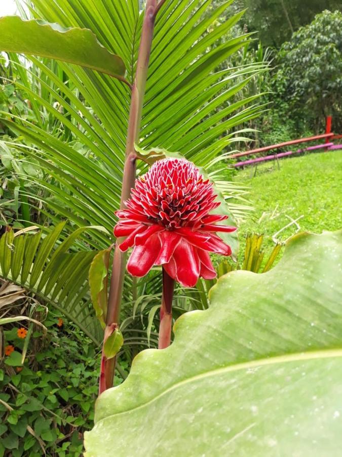 Hotel Dulce Campestre Jardín Extérieur photo